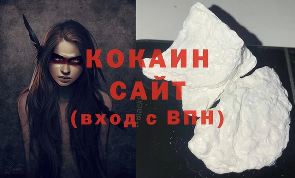 apvp Володарск